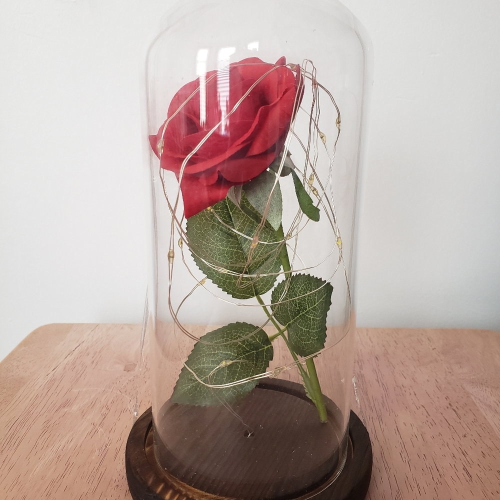 Enchanted Red Rose in Glass Dome Lamp.
